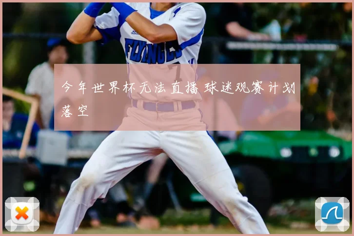 今年世界杯无法直播 球迷观赛计划落空