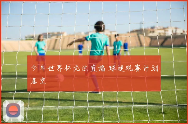 今年世界杯无法直播 球迷观赛计划落空