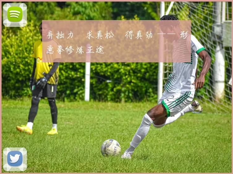 弃拙力・求真松・得真劲 —— 形意拳修炼正途