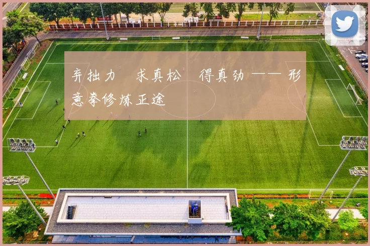 弃拙力・求真松・得真劲 —— 形意拳修炼正途