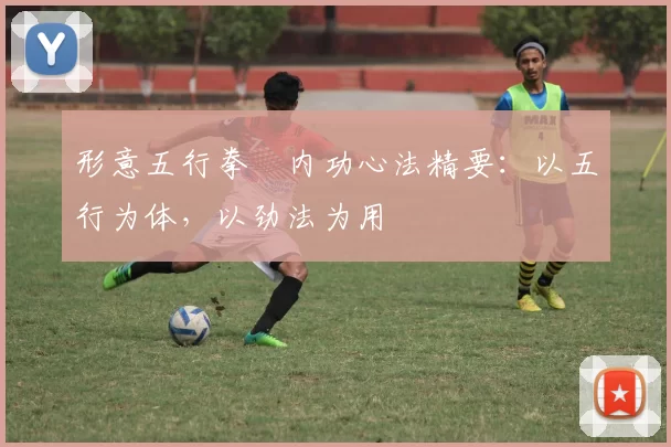 形意五行拳・内功心法精要：以五行为体，以劲法为用