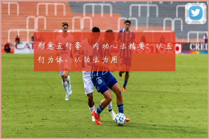 形意五行拳・内功心法精要：以五行为体，以劲法为用