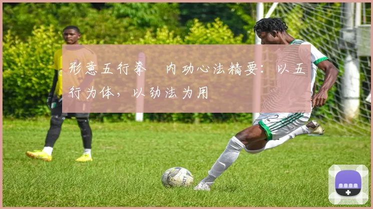 形意五行拳・内功心法精要：以五行为体，以劲法为用