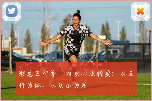 形意五行拳・内功心法精要：以五行为体，以劲法为用