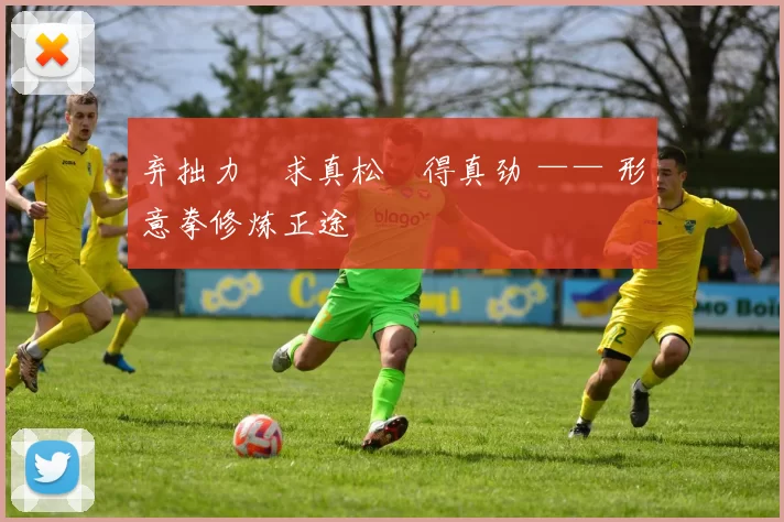 弃拙力・求真松・得真劲 —— 形意拳修炼正途