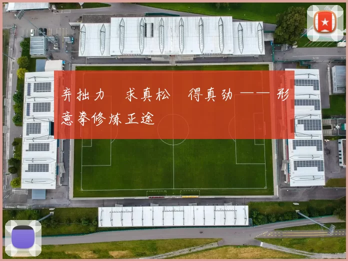 弃拙力・求真松・得真劲 —— 形意拳修炼正途