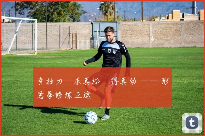 弃拙力・求真松・得真劲 —— 形意拳修炼正途