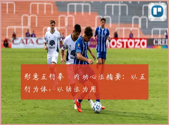 形意五行拳・内功心法精要：以五行为体，以劲法为用