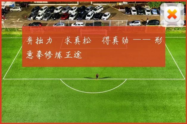 弃拙力・求真松・得真劲 —— 形意拳修炼正途