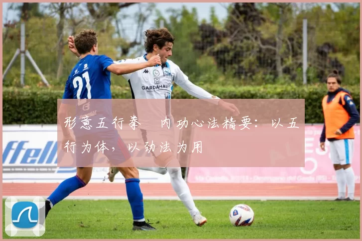 形意五行拳・内功心法精要：以五行为体，以劲法为用