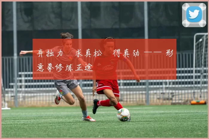 弃拙力・求真松・得真劲 —— 形意拳修炼正途