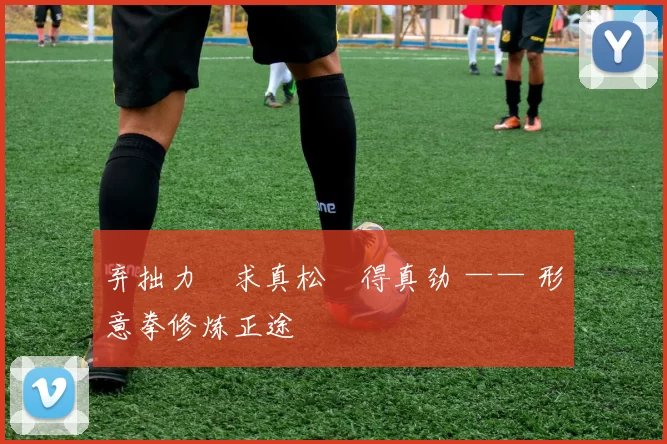 弃拙力・求真松・得真劲 —— 形意拳修炼正途