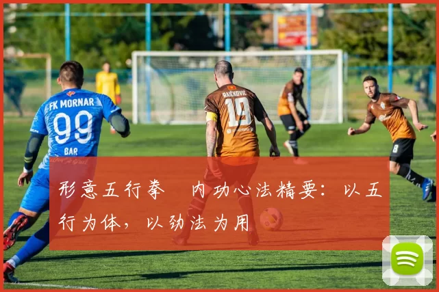 形意五行拳・内功心法精要：以五行为体，以劲法为用