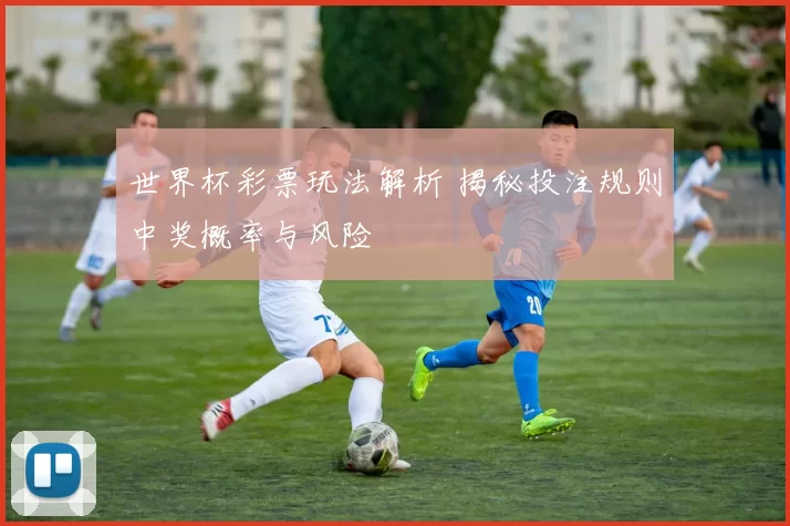 世界杯彩票玩法解析 揭秘投注规则中奖概率与风险