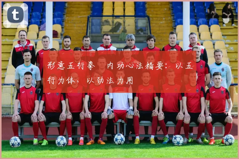 形意五行拳・内功心法精要：以五行为体，以劲法为用