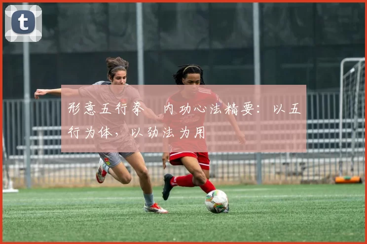 形意五行拳・内功心法精要：以五行为体，以劲法为用