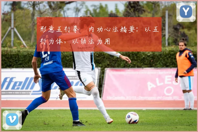 形意五行拳・内功心法精要：以五行为体，以劲法为用