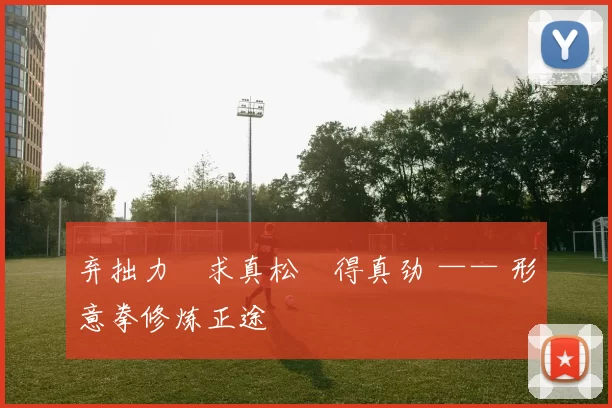 弃拙力・求真松・得真劲 —— 形意拳修炼正途