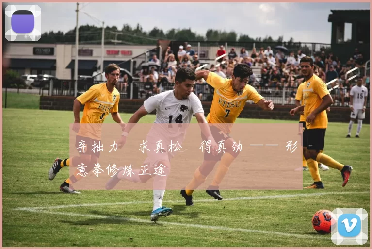 弃拙力・求真松・得真劲 —— 形意拳修炼正途