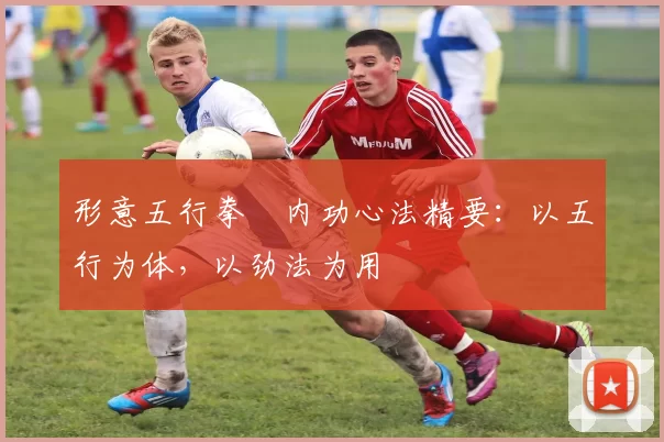 形意五行拳・内功心法精要：以五行为体，以劲法为用