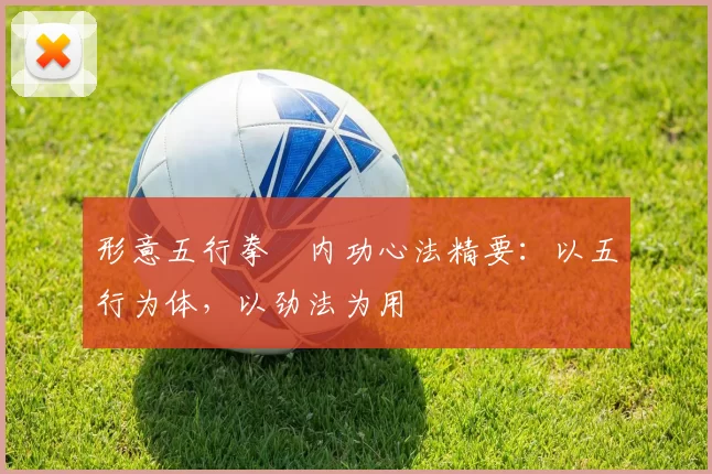 形意五行拳・内功心法精要：以五行为体，以劲法为用