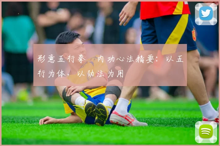 形意五行拳・内功心法精要：以五行为体，以劲法为用