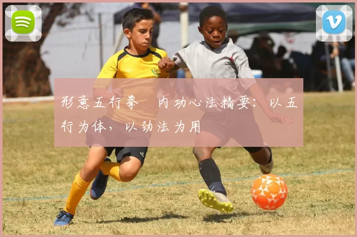 形意五行拳・内功心法精要：以五行为体，以劲法为用