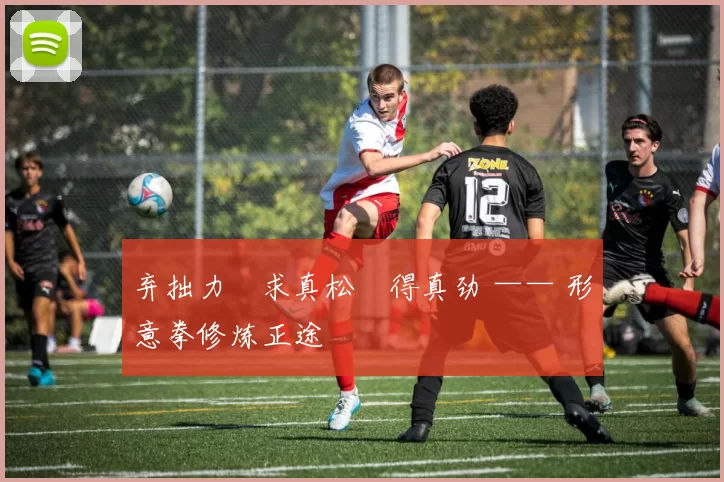 弃拙力・求真松・得真劲 —— 形意拳修炼正途