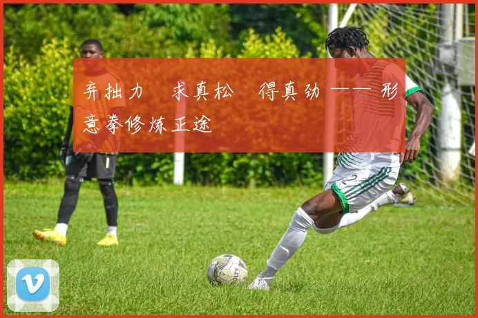 弃拙力・求真松・得真劲 —— 形意拳修炼正途