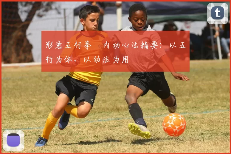 形意五行拳・内功心法精要：以五行为体，以劲法为用