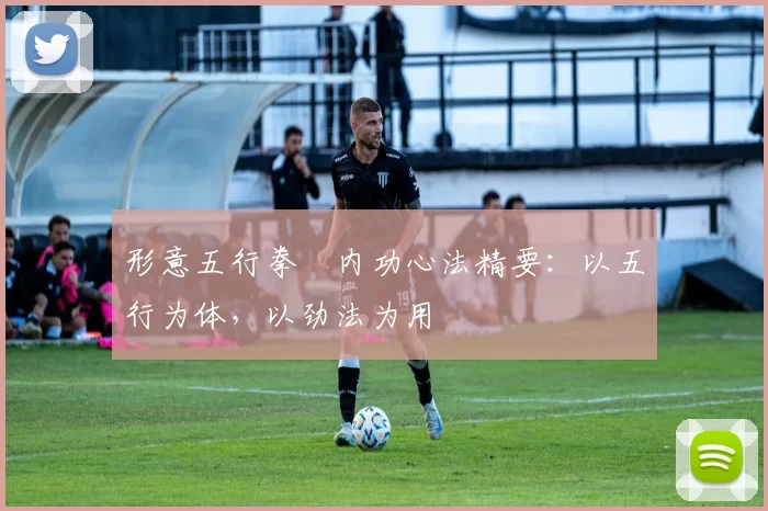 形意五行拳・内功心法精要：以五行为体，以劲法为用