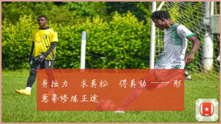 弃拙力・求真松・得真劲 —— 形意拳修炼正途