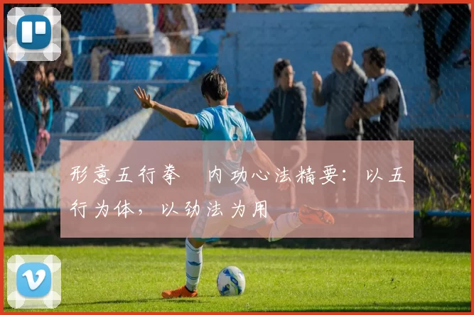 形意五行拳・内功心法精要：以五行为体，以劲法为用