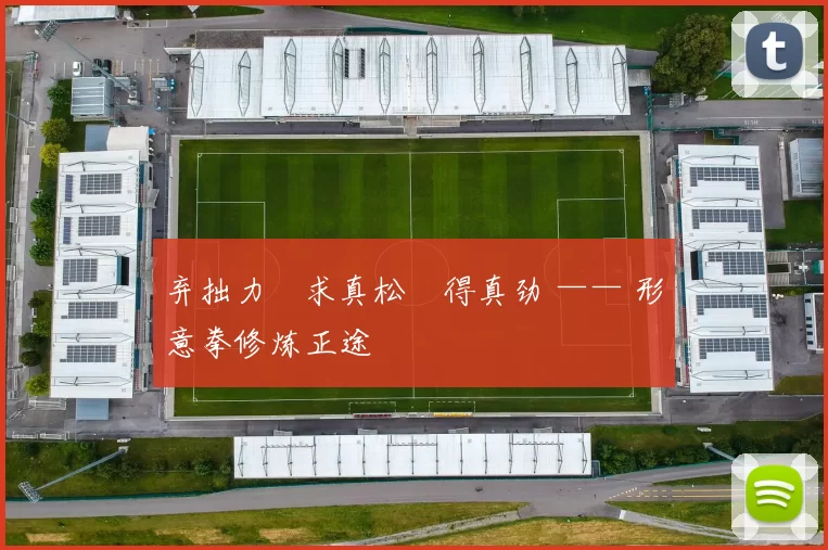 弃拙力・求真松・得真劲 —— 形意拳修炼正途